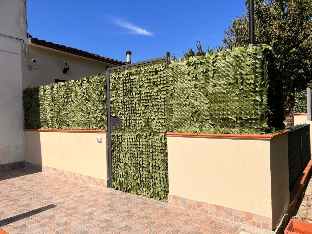 Bed & Breakfast L'angolo Degli Etruschi *